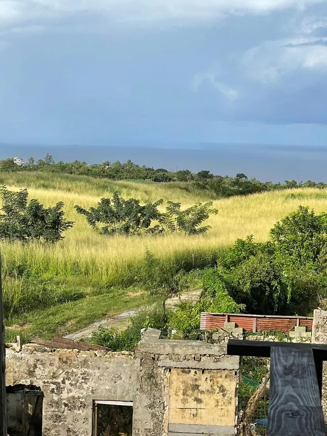 Canvas And Cave Saint Peter Barbados
